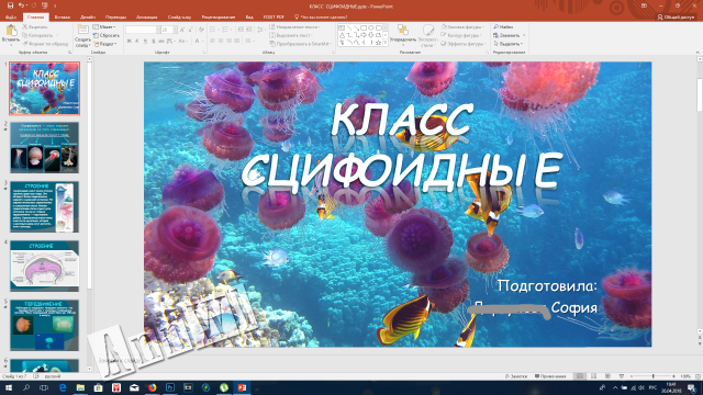 Работа 3416214