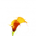 Работа 1575709