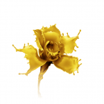 Работа 1575707