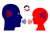 Обезъянка видит - обезъянка делает