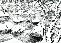 С натуры (Сестрорецк 2013)