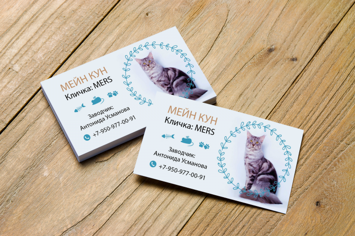 Визитка для заводчика Мейн-кунов