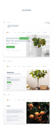 Концепт сайта для компании по продаже семян web design UI/U