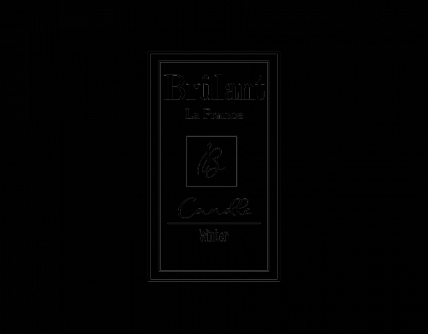 Design logo