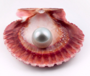 сказка "Художник и Океан"