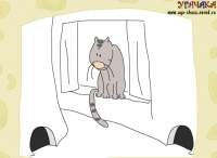 Кот и мышь