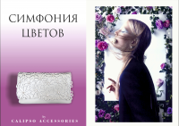 Представление коллекции сумок и аксессуаров s/s2015 для CALIPSO