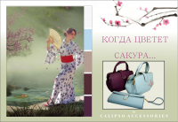 Представление коллекции сумок и аксессуаров s/s2015 для CALIPSO