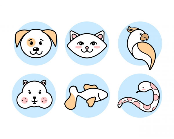 Zoo icons