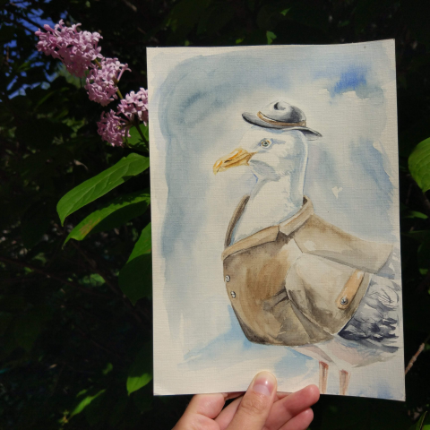 Рисунок акварелью. Чайка в пальто