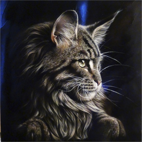 кот