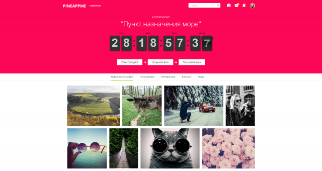 Социальная сеть