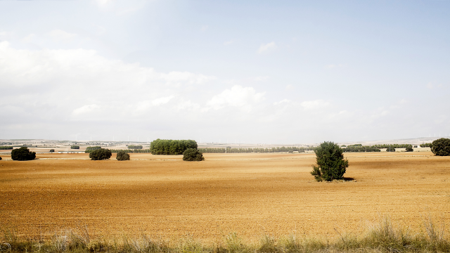 Way to Albacete