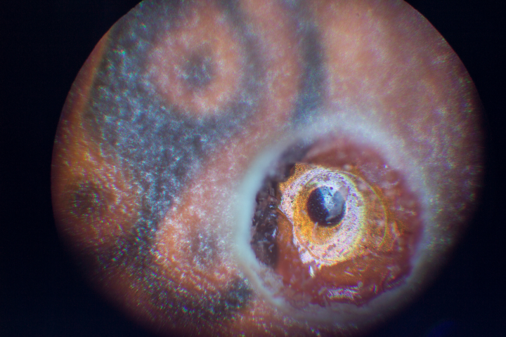 Микросъемка платы