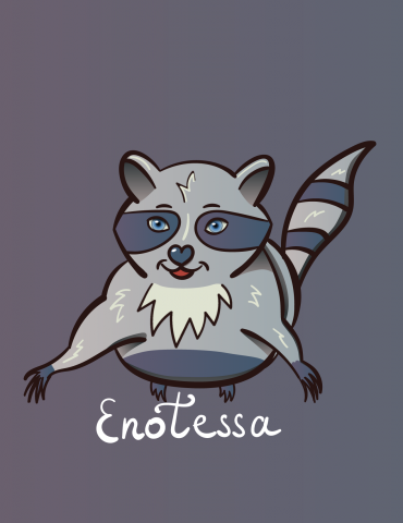 raccoon