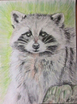 рисунок6