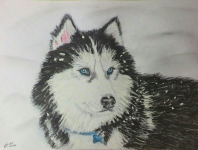 рисунок7