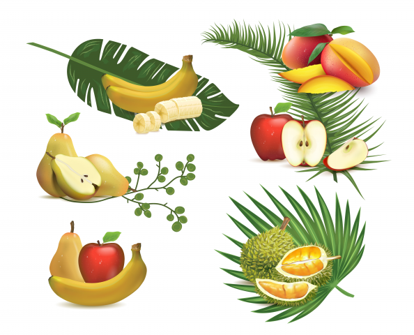 3D Fruit