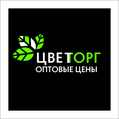 Разработка логотипа "Цветторг"