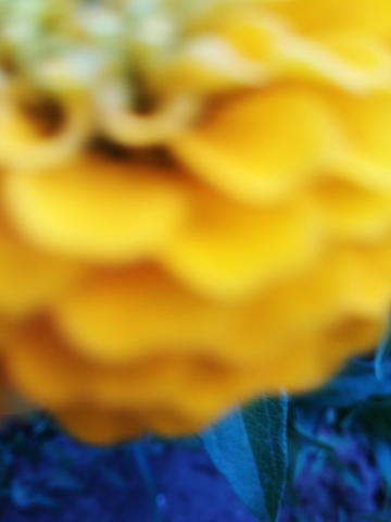 color