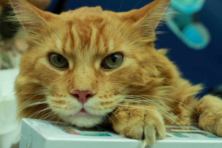 Работа 3741741