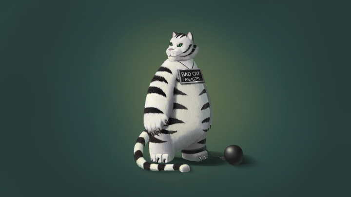 Bad cat