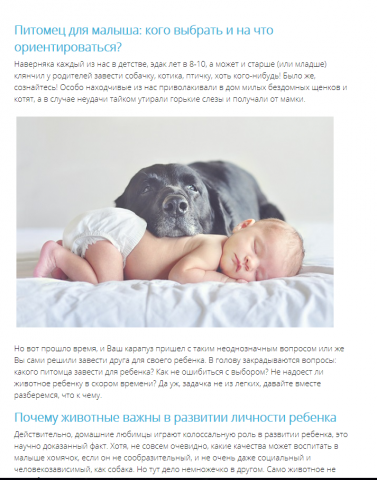 Какое животное завести в кваритре для ребенка