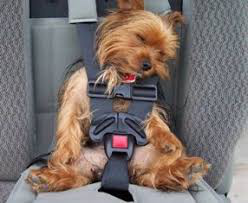 продающий текст на сайт