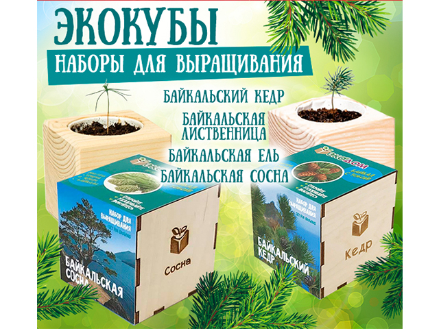 Экокубы