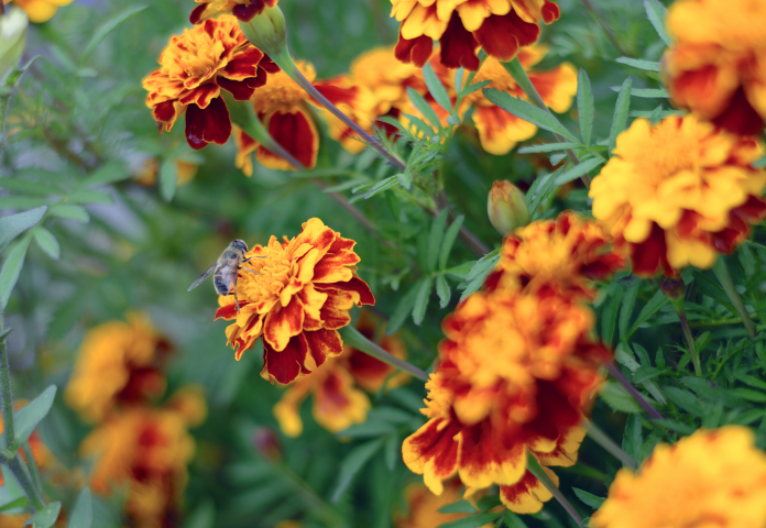 Работа 3725678