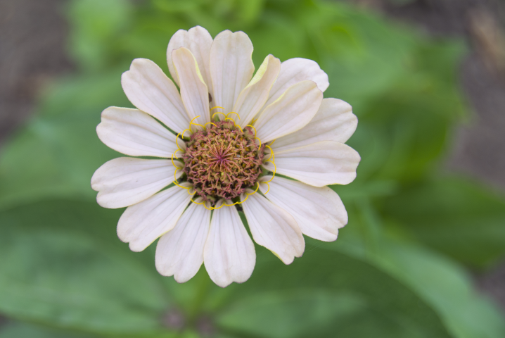 Работа 3725677