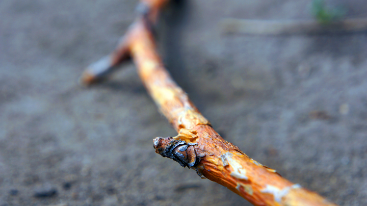 Работа 3725676