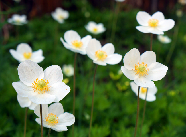 Работа 3725674