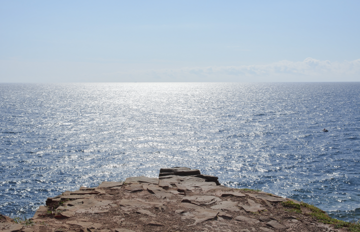 Работа 3725671