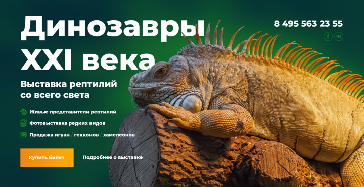 Лендинг для выставки-продажи рептилий