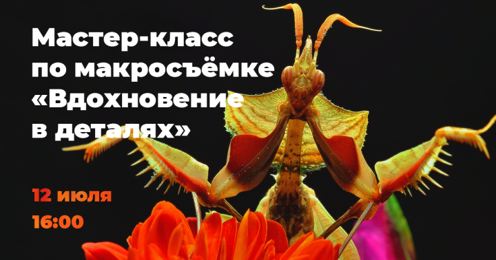 Статичный баннер