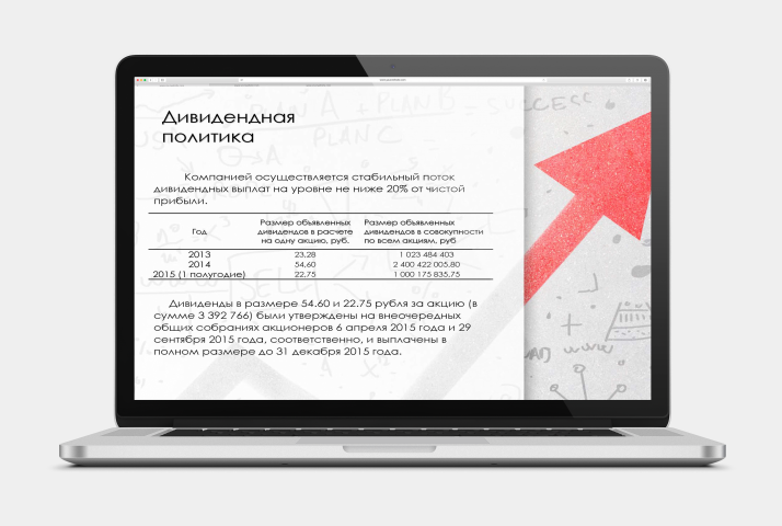 Анализ эмитента