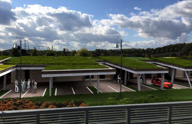 Дом с эксплуатируемой кровлей