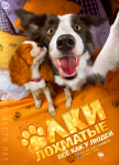 Елки лохматые