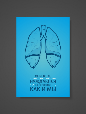 плакат