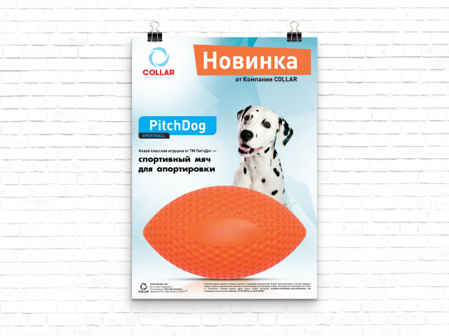 Плакат А3 PitchDog Sportball