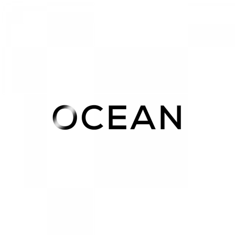 Создание стратегии SMM для магазина одежды Ocean Store