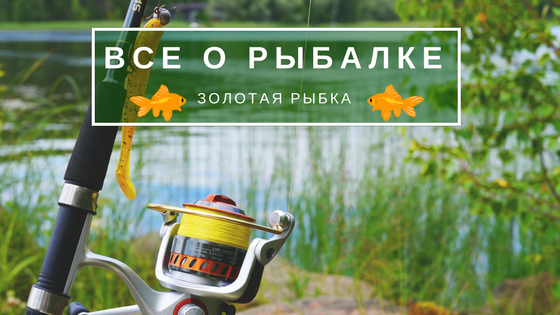 Работа 3589807