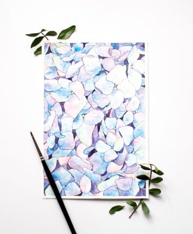 Hydrangea
