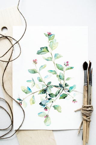 Watercolor leaves