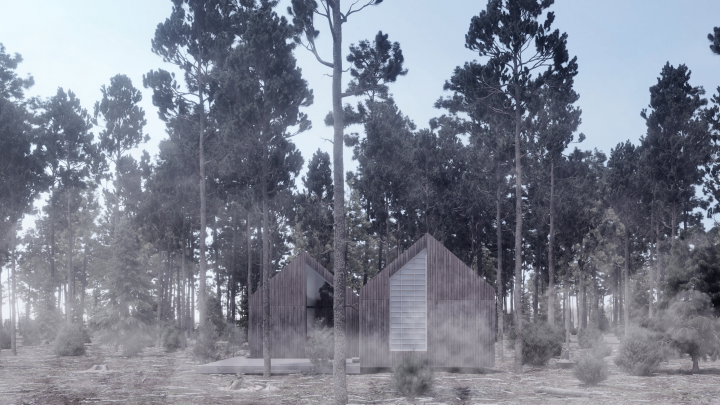 Визуализация загородного дома