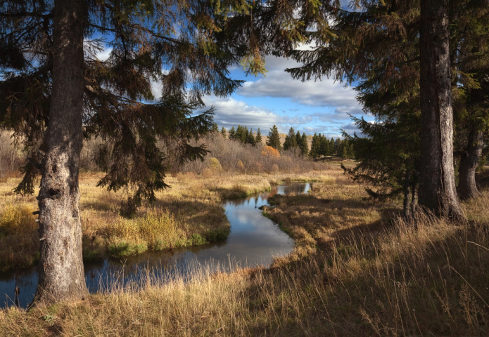 Осенний пейзаж