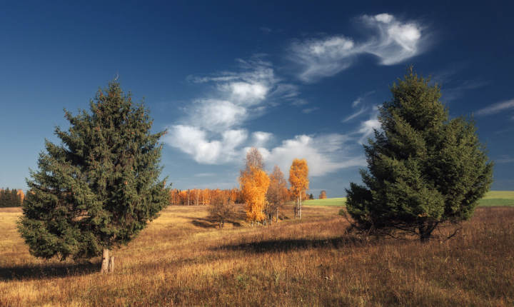 Косяк осенних облаков