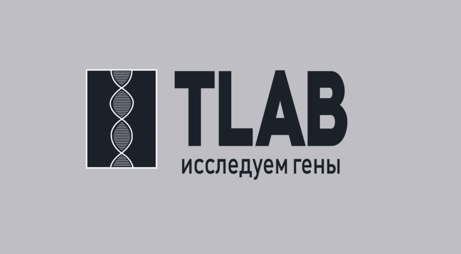 изображение_2025-02-11_210809679.png