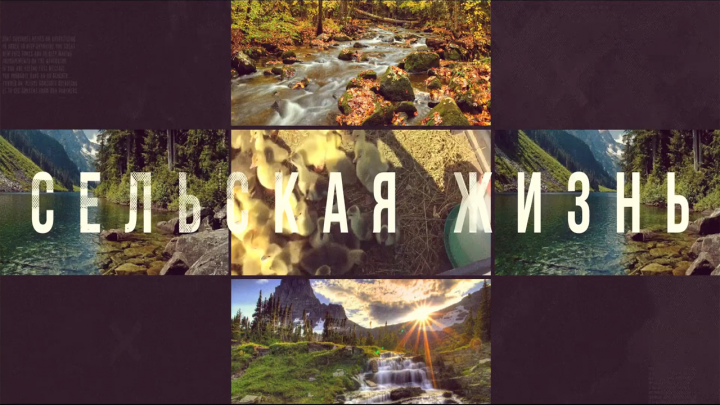 Интро для канала СелоLive